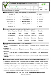 L’accord des adjectifs - Examen Evaluation- Fiches QCM - Quiz : 5ème Harmos - PDF à imprimer