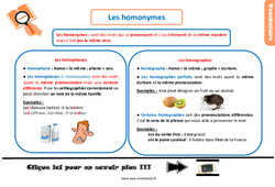 Les homonymes - Examen Evaluation et bilan  : 7ème Harmos - PDF à imprimer