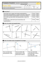 Identifier et tracer des droites perpendiculaires - Examen Evaluation- Fiches QCM - Quiz  : 6ème Harmos - PDF à imprimer