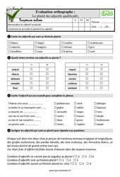 Le pluriel des adjectifs qualificatifs - Examen Evaluation- Fiches QCM - Quiz  : 7ème Harmos - PDF à imprimer