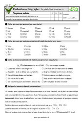 Le pluriel des noms en - x - Examen Evaluation- Fiches QCM - Quiz  : 7ème Harmos - PDF à imprimer