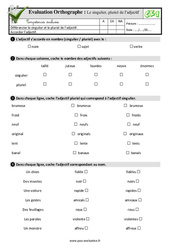 Le singulier, pluriel de l’adjectif - Examen Evaluation- Fiches QCM - Quiz : 4ème Harmos - PDF à imprimer