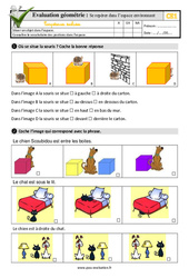 Se repérer dans l’espace environnant - Examen Evaluation- Fiches QCM - Quiz : 4ème Harmos - PDF à imprimer