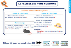 Bilan  - Le pluriel des noms - Examen Evaluation avec la correction : 5ème Harmos - PDF à imprimer