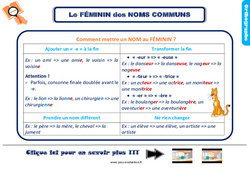 Bilan  - Le féminin des noms - Examen Evaluation avec la correction : 5ème Harmos - PDF à imprimer