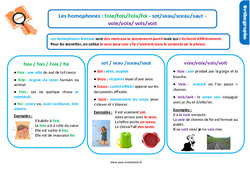 Bilan  sur les homophones lexicaux- Fiches foie/fois/Foix/foi - sot/seau/sceau/saut - voie/voix/ vois/voit - Examen Evaluation avec la correction : 6ème Harmos - PDF à imprimer