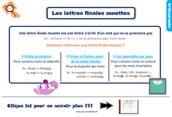 Evaluation et bilan sur les lettres finales muettes : 5ème Harmos - PDF à imprimer