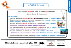 Bilan  - Le pluriel des noms - Examen Evaluation avec la correction : 7ème Harmos - PDF à imprimer