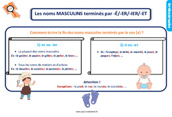 Evaluation avec le corrigé sur les noms masculins en [e] - Bilan  : 5ème Harmos - PDF à imprimer