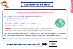 Evaluation avec le corrigé sur les familles de mots - Bilan  : 5ème Harmos - PDF à imprimer