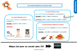 Evaluation avec le corrigé pour les noms féminins en [e] et [te] - Bilan  : 6ème Harmos - PDF à imprimer