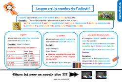 Evaluation et bilan sur le genre et le nombre de l’adjectif : 6ème Harmos - PDF à imprimer