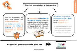 Evaluation avec la correction sur comment chercher un mot dans le dictionnaire - Bilan  : 7ème Harmos - PDF à imprimer