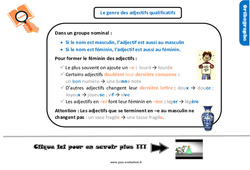 Le genre des adjectifs qualificatifs - Examen Evaluation et bilan  avec le corrigé : 6ème Harmos - PDF à imprimer