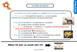 Le pluriel des adjectifs - Examen Evaluation et bilan  avec le corrigé : 7ème Harmos - PDF à imprimer