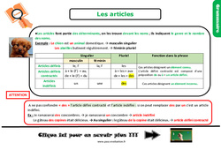 Les articles - Examen Evaluation et bilan  avec le corrigé : 7ème Harmos - PDF à imprimer