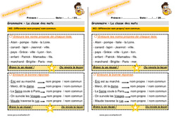 Différencier nom propre et nom commun - Examen Evaluation progressive  : 4ème Harmos - PDF à imprimer