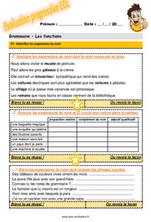 Evaluation progressive sur comment identifier les expansions du nom : 7ème Harmos - PDF à imprimer
