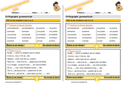 Je sais remplacer n par m, p, b - Examen Evaluation progressive  : 5ème Harmos - PDF à imprimer