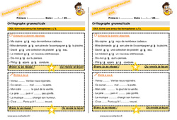 Ecrire sans erreur les homophones a - à - Examen Evaluation progressive : 5ème Harmos - PDF à imprimer