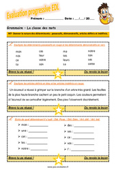 La nature des déterminants - Fiches possessifs, démonstratifs, articles définis et indéfinis - Examen Evaluation progressive avec la correction : 6ème Harmos - PDF à imprimer