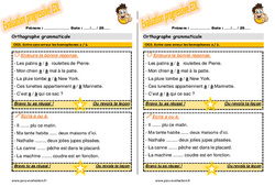 Ecrire sans erreur les homophones a / à - Examen Evaluation progressive : 4ème Harmos - PDF à imprimer