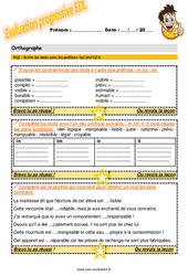 Ecrire les mots avec les préfixes - in/ - im/ - il/ - ir - Examen Evaluation progressive : 7ème Harmos - PDF à imprimer