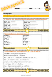 J’écris les noms féminins terminés par - é - té - tié - Examen Evaluation progressive : 7ème Harmos - PDF à imprimer