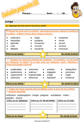 Regrouper des mots selon le sens de leur préfixe - Examen Evaluation progressive : 7ème Harmos - PDF à imprimer