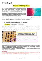 Diversité et stabilité génétique - Cours : 11ème Harmos - PDF à imprimer