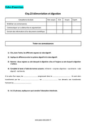 Alimentation et digestion - Exercices corrigés : 9eme Harmos - PDF à imprimer