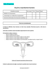 La reproduction humaine - Exercices corrigés : 9eme Harmos - PDF à imprimer