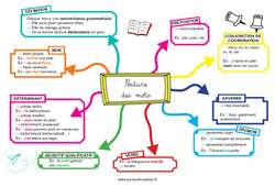 Nature des mots - Carte mentale : 6ème, 7ème, 8ème Harmos - PDF à imprimer