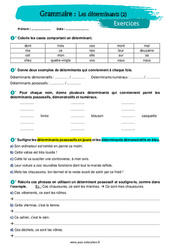 Les déterminants (2) - Exercices avec les corrigés : 9eme Harmos - PDF à imprimer