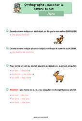 Identifier le nombre du nom - Cours, Leçon d'orthographe : 4ème Harmos - PDF gratuit à imprimer