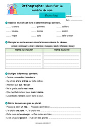 Identifier le nombre du nom - Exercices d'orthographe : 4ème Harmos - PDF à imprimer