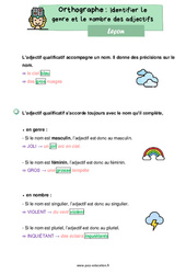 Identifier le genre et le nombre des adjectifs - Cours, Leçon d'orthographe : 4ème Harmos - PDF gratuit à imprimer