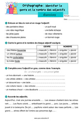 Identifier le genre et le nombre des adjectifs - Exercices d'orthographe : 4ème Harmos - PDF à imprimer