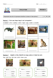 Evaluation - Période 4 - Anglais - Doggy , Foxy - My English Pass : 4ème Harmos - PDF à imprimer