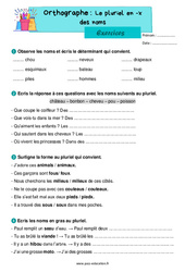 Le pluriel en - x des nom - Exercices d'orthographe : 4ème Harmos - PDF à imprimer