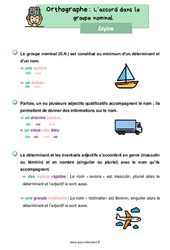 L'accord dans le groupe nominal - Cours, Leçon d'orthographe : 4ème Harmos - PDF gratuit à imprimer