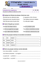 L'accord dans le groupe nominal - Évaluation d'orthographe : 4ème Harmos - PDF à imprimer