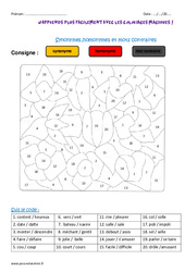 Synonymes - Homonymes - Mots contraires - Coloriage magique : 5ème Harmos - PDF à imprimer