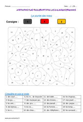 Pluriel des noms - Coloriage magique : 6ème Harmos - PDF à imprimer