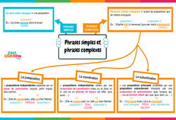 Carte mentale Phrases simples et phrases complexes - Vidéo pédagogique interactive + Carte mentale -  : 9eme, 10ème, 11ème Harmos