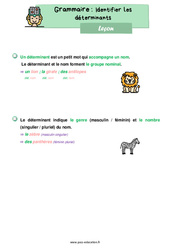 Identifier les déterminants - Cours, Leçon de grammaire : 4ème Harmos - PDF gratuit à imprimer