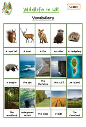 Wildlife in UK - Cours, Leçon d'anglais  - Séquence 16 - My English Pass : 3eme, 4ème Harmos - PDF gratuit à imprimer