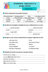 Reconnaître le groupe nominal - Exercices de grammaire : 4ème Harmos - PDF à imprimer