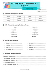 Le pluriel - Exercices sur les cas particuliers : 4ème Harmos - PDF à imprimer