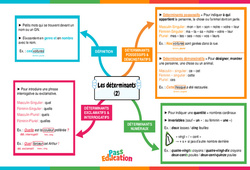 Déterminants - Carte mentale : 9eme Harmos - PDF à imprimer